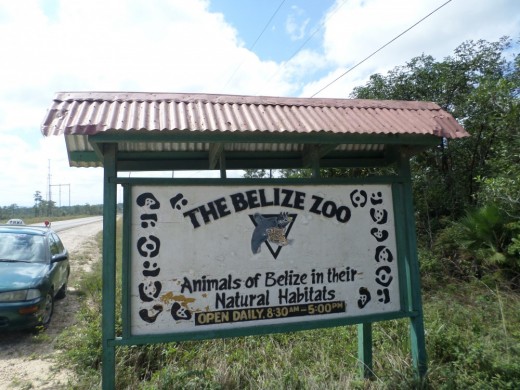 Belize 2015 (80)